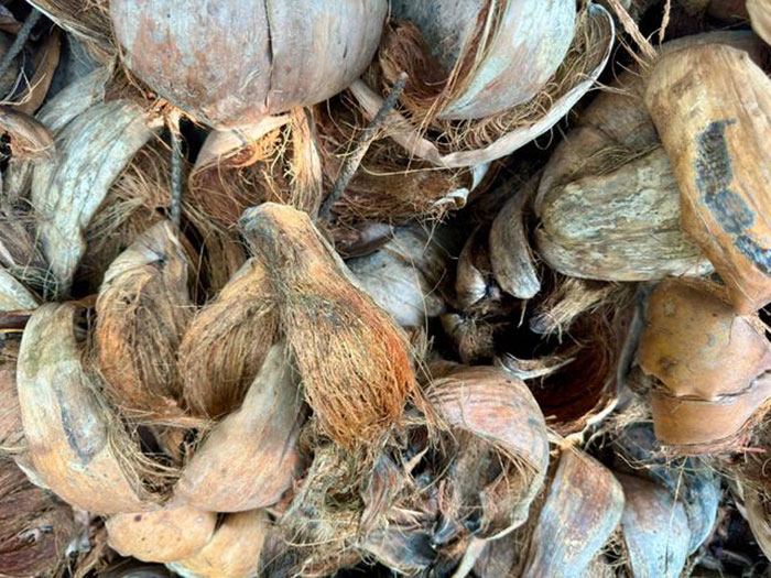 coconut waste shredder machine Coconut Shell